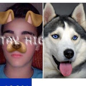 Meet your Posher, Dylan